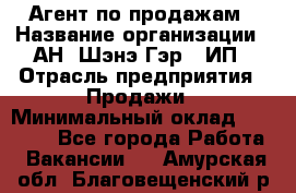 Агент по продажам › Название организации ­ АН "Шэнэ Гэр", ИП › Отрасль предприятия ­ Продажи › Минимальный оклад ­ 45 000 - Все города Работа » Вакансии   . Амурская обл.,Благовещенский р-н